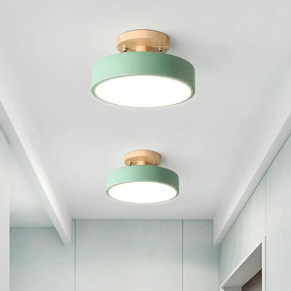 Acorn Minimalist Flush Mount Ceiling Light