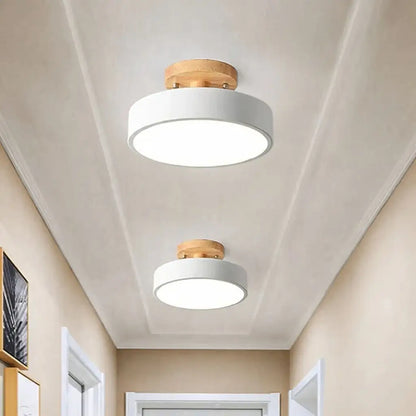 Acorn Minimalist Flush Mount Ceiling Light