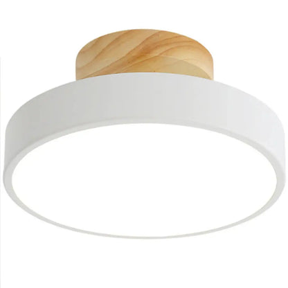 Acorn Minimalist Flush Mount Ceiling Light