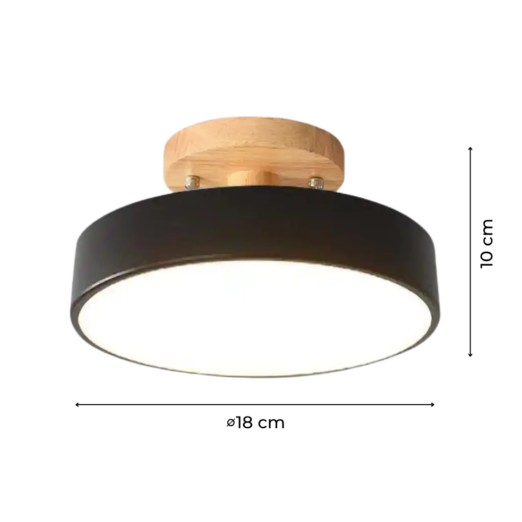 Acorn Minimalist Flush Mount Ceiling Light