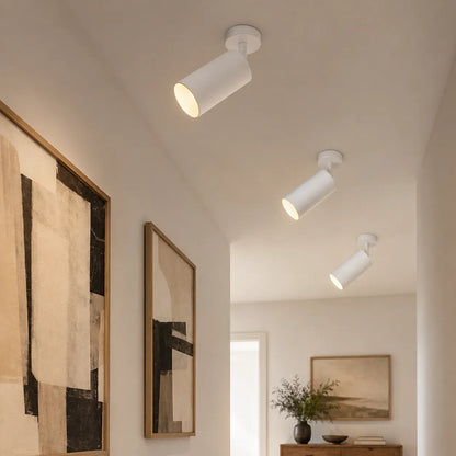 Adjustable Spotlight Wall Light with Directional Beam