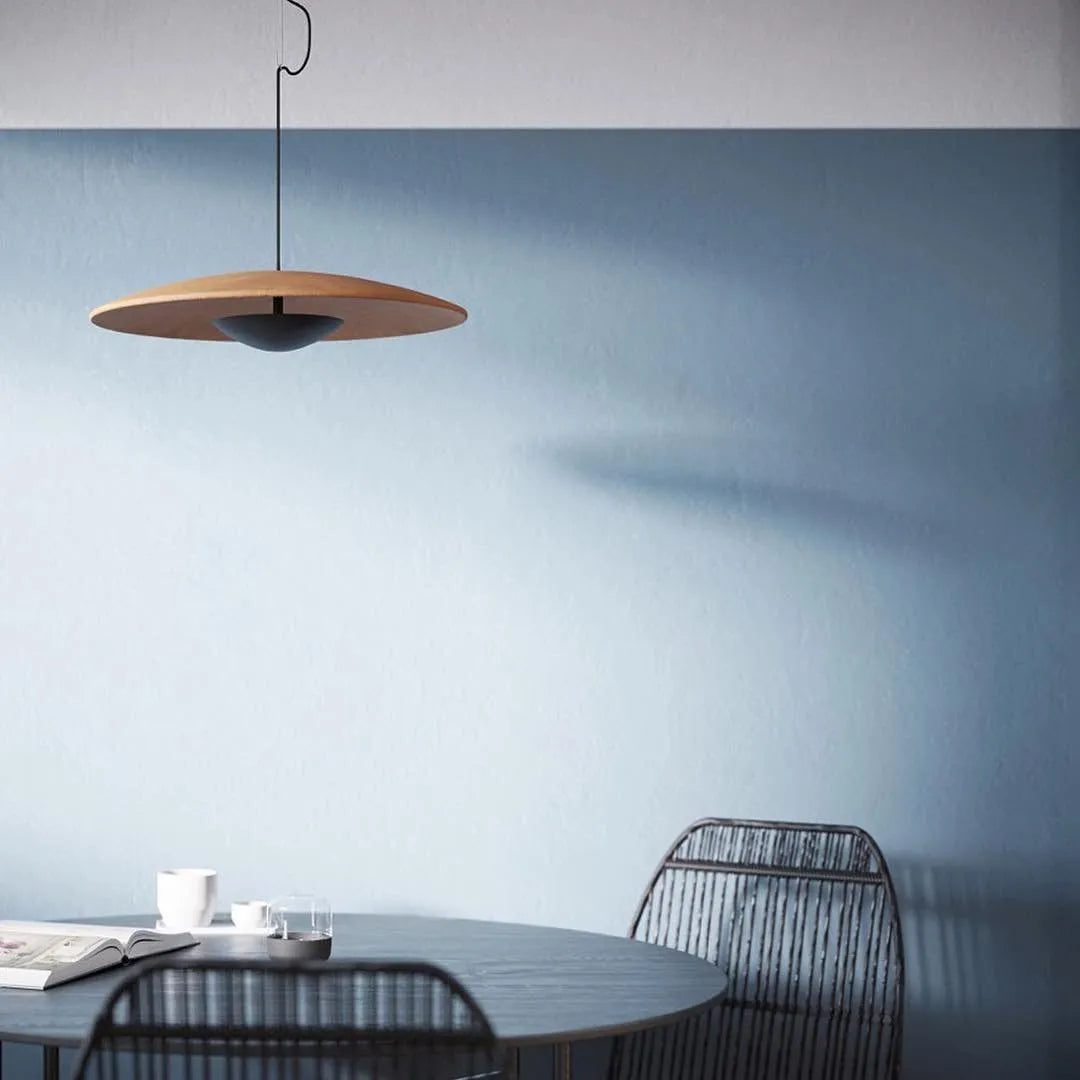 Alaorae Nordic Metal Disc LED Pendant Light