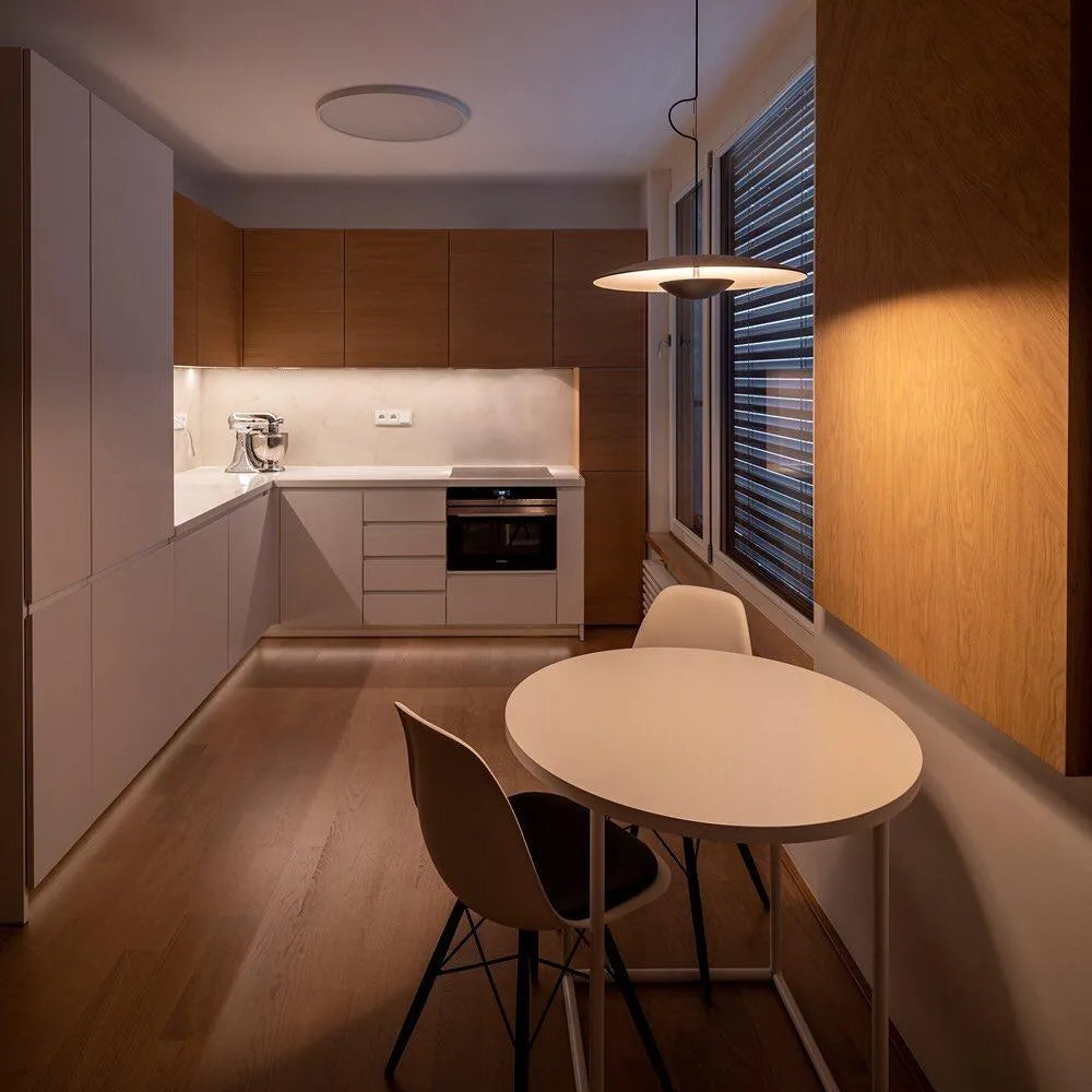 Alaorae Nordic Metal Disc LED Pendant Light