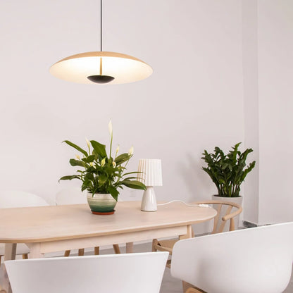 Alaorae Nordic Metal Disc LED Pendant Light