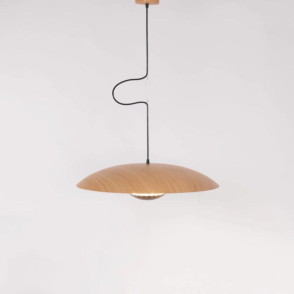 Alaorae Nordic Metal Disc LED Pendant Light