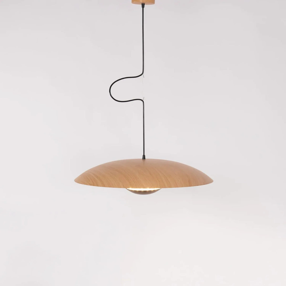 Alaorae Nordic Metal Disc LED Pendant Light
