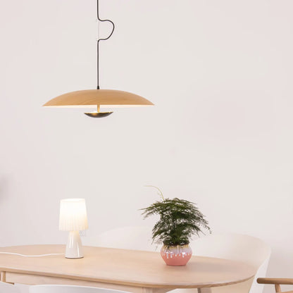 Alaorae Nordic Metal Disc LED Pendant Light