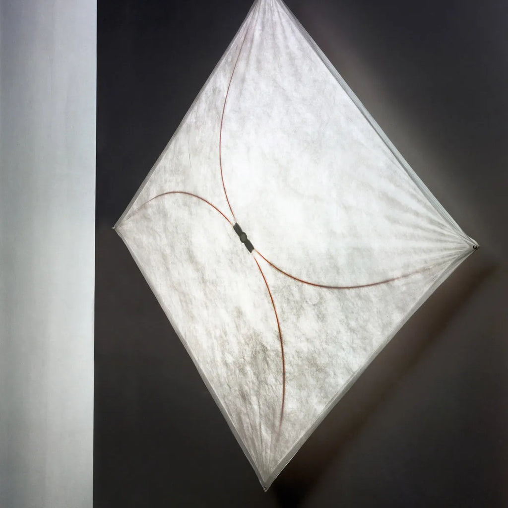 Zorin Japandi DuPont Paper Wall & Ceiling Light