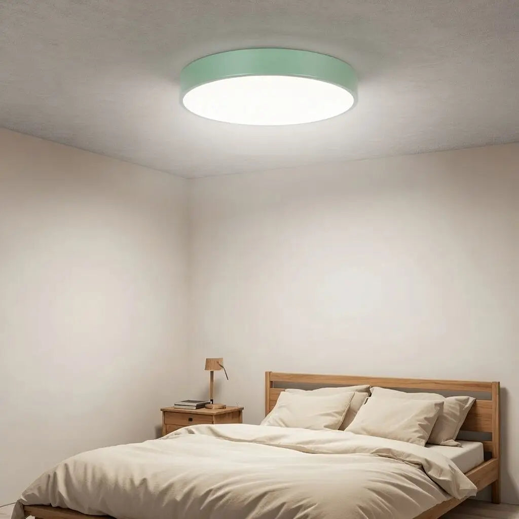 Disc Minimalist Round LED Flush Mount Ceiling Light