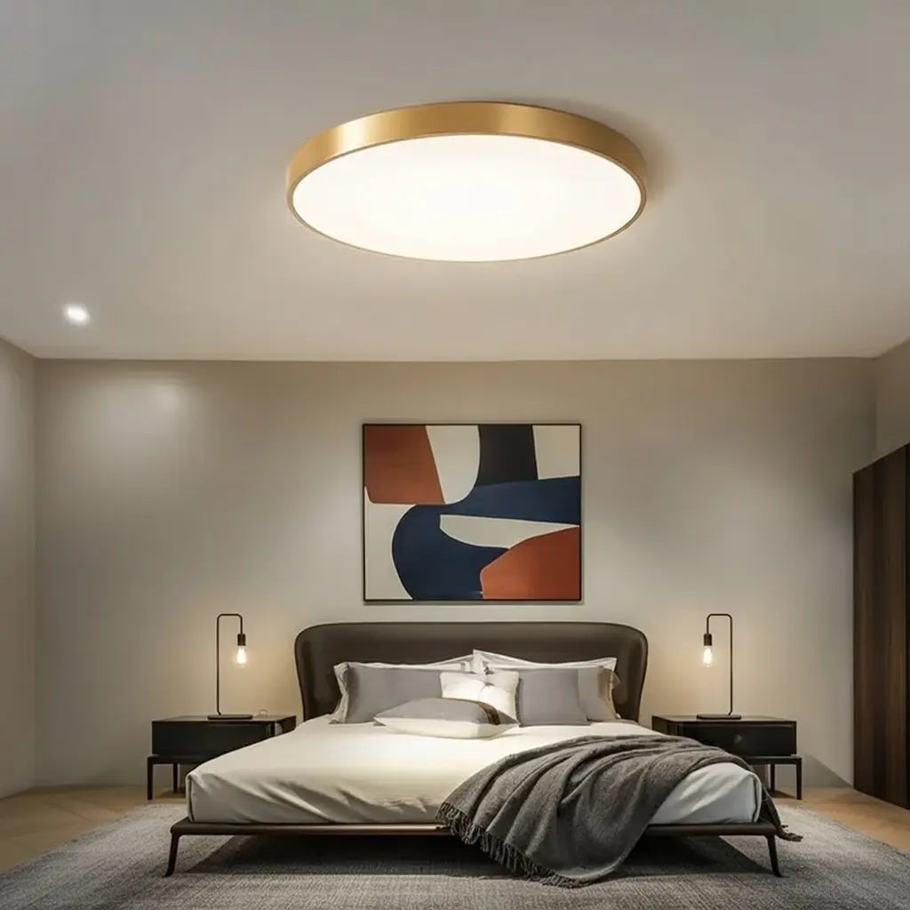 Disc Minimalist Round LED Flush Mount Ceiling Light