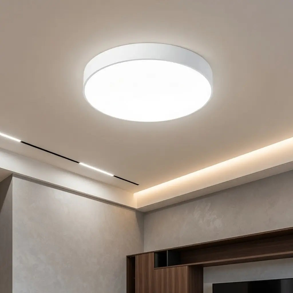 Disc Minimalist Round LED Flush Mount Ceiling Light