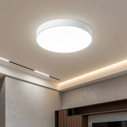 Disc Minimalist Flush Mount Ceiling Light
