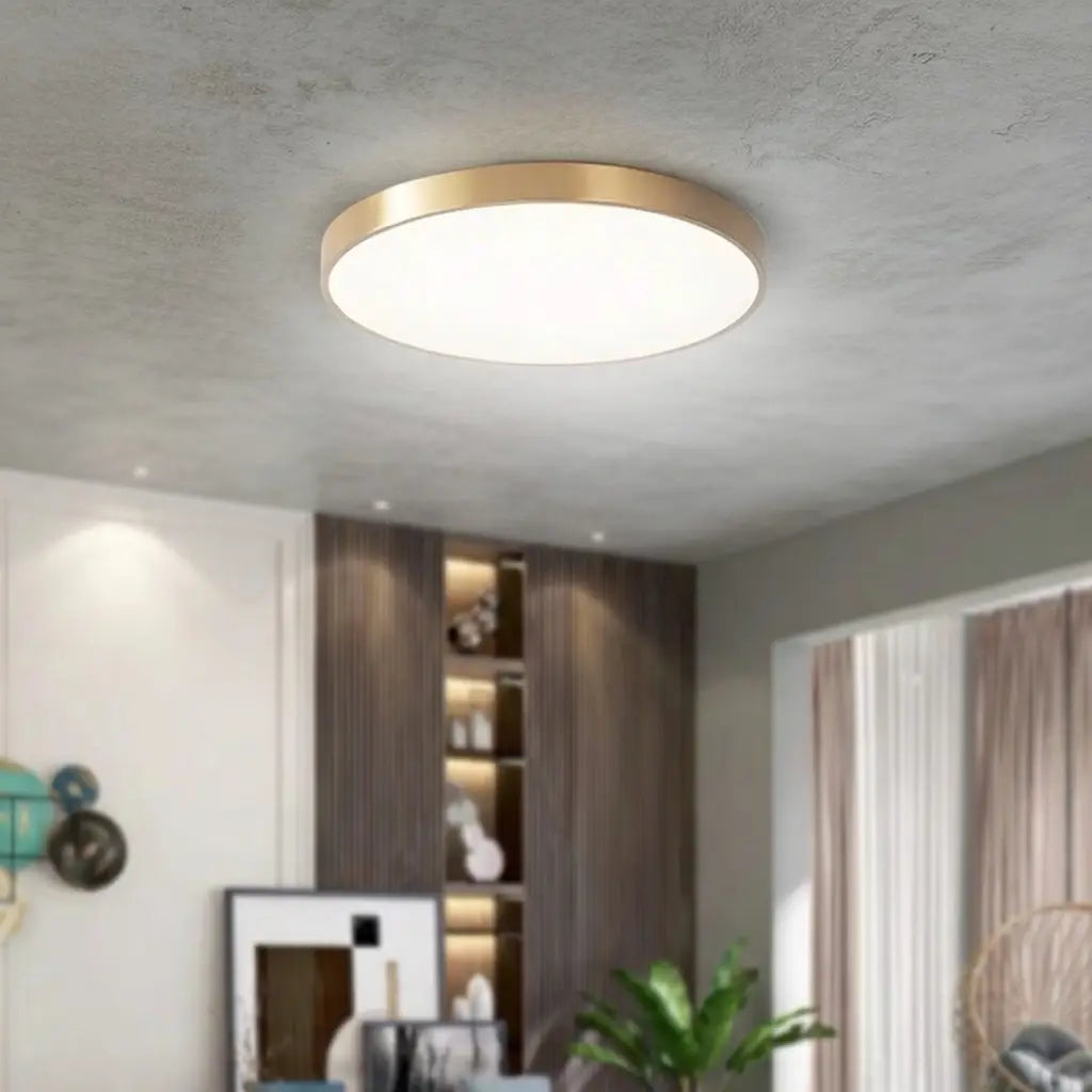 Disc Minimalist Round LED Flush Mount Ceiling Light