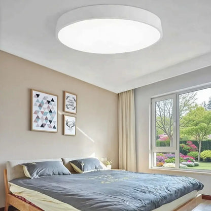 Disc Minimalist Flush Mount Ceiling Light