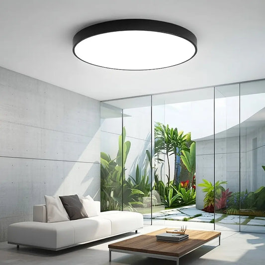 Disc Minimalist Flush Mount Ceiling Light