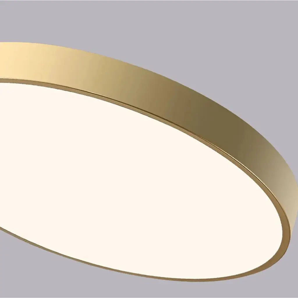 Disc Minimalist Round LED Flush Mount Ceiling Light