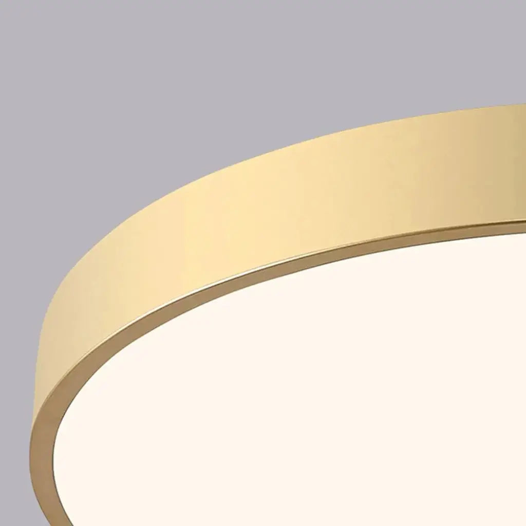Disc Minimalist Round LED Flush Mount Ceiling Light
