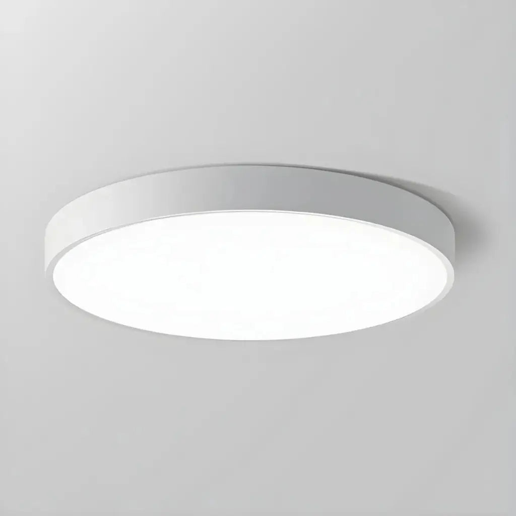 Disc Minimalist Round LED Flush Mount Ceiling Light
