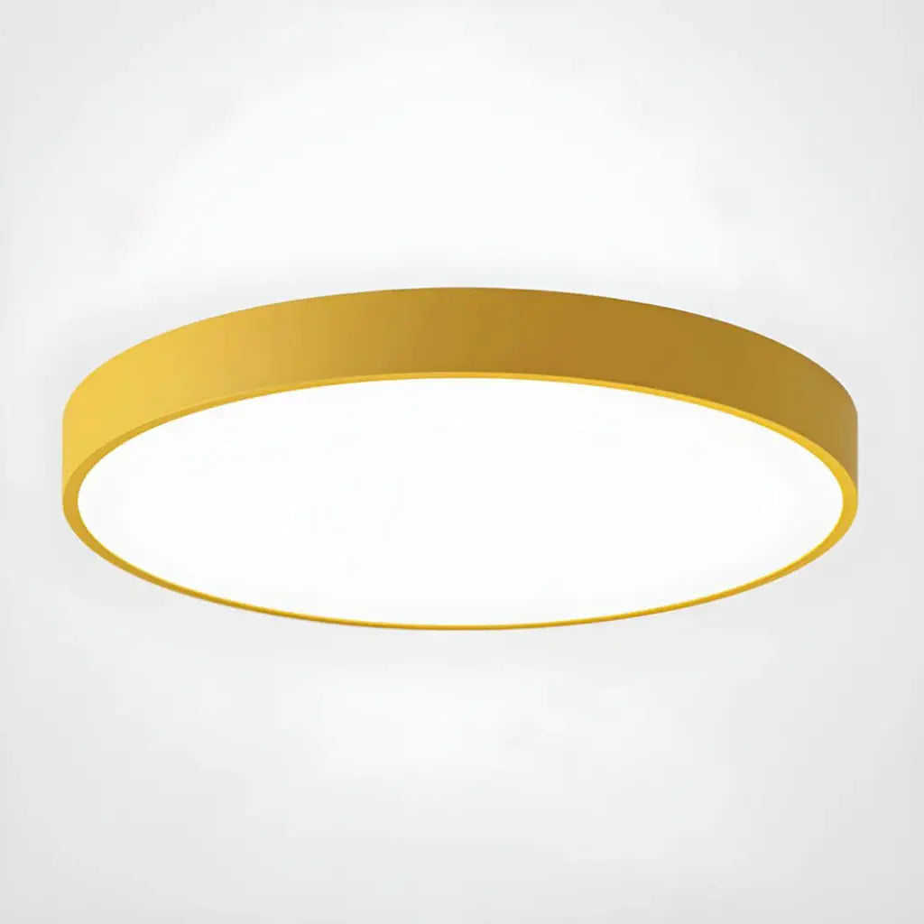 Disc Minimalist Round LED Flush Mount Ceiling Light