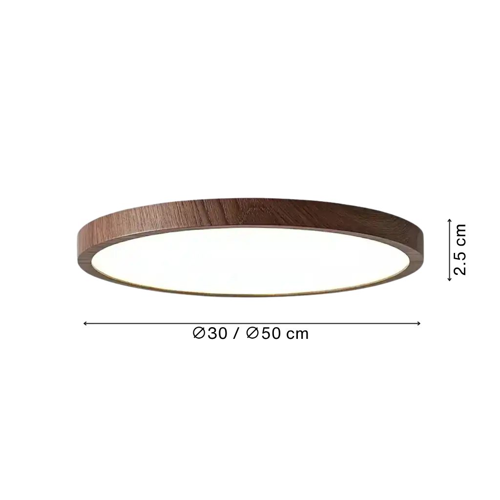 Ethos Minimalist Flush Mount Ceiling Light