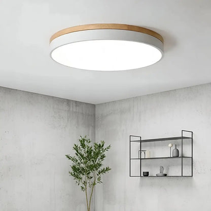 Horizon Architectural Flush Mount Light