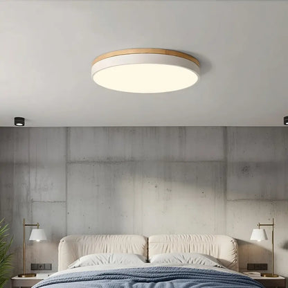 Horizon Architectural Flush Mount Light