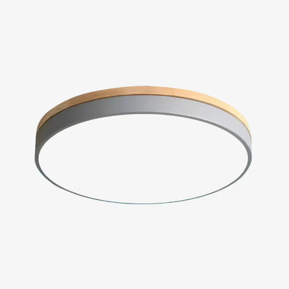 Horizon Architectural Flush Mount Light