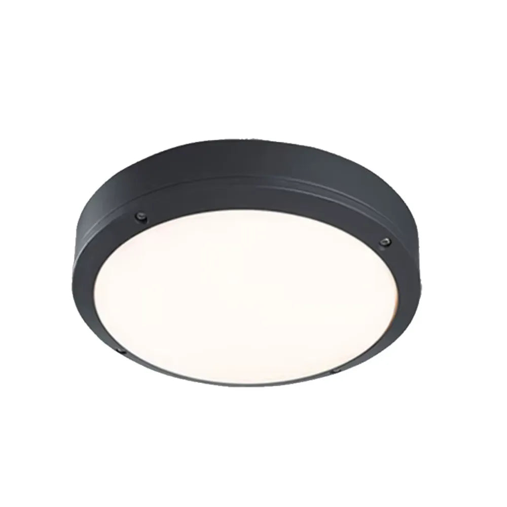 Avelira Modern IP65 LED Indoor & Outdoor Ceiling Light