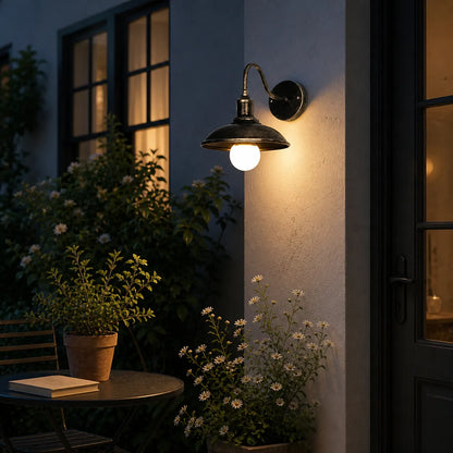 Lara Industrial Bowl Iron Wall Light
