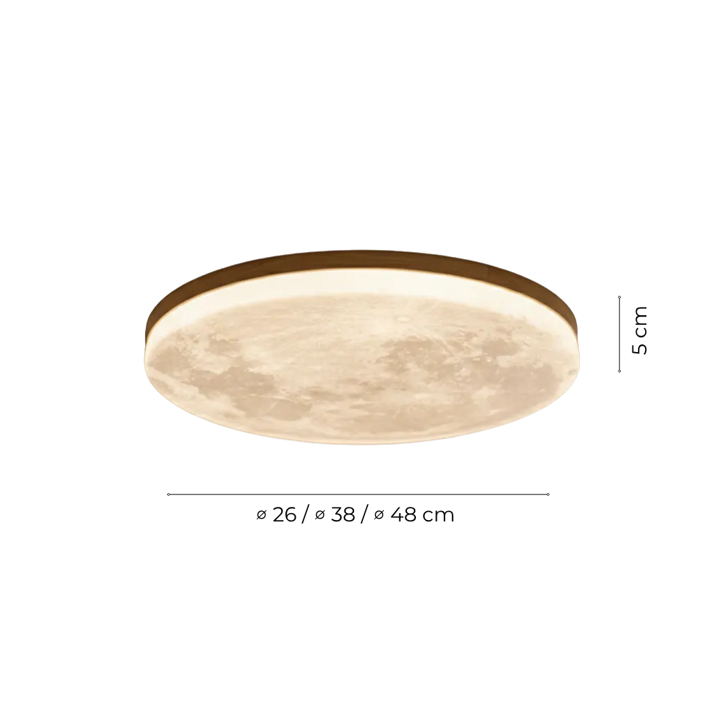 LED Flush Mount Ceiling Light with Wood Frame