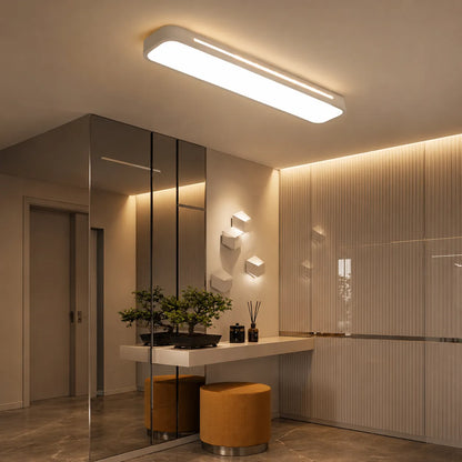 Linear LED Flush Mount Ceiling Light