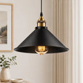 Paloma Industrial Brass-Accent Metal Cone Pendant Light