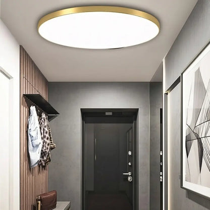 Lucent Flush Mount Ceiling Light