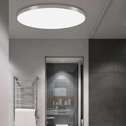 Lucent Flush Mount Ceiling Light