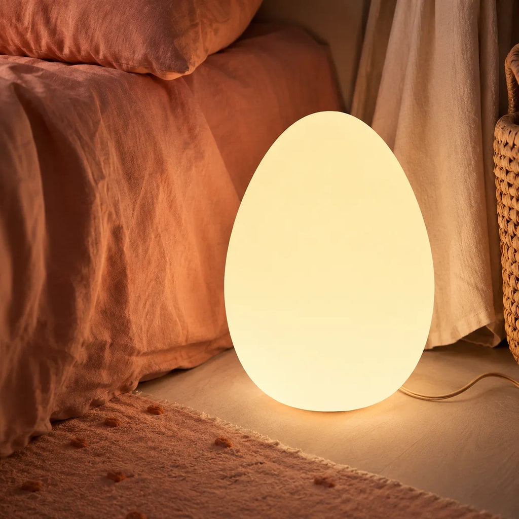 Avaella Minimalist Sculptural Egg LED Floor Lamp