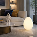Avaella Minimalist Sculptural Egg LED Floor Lamp