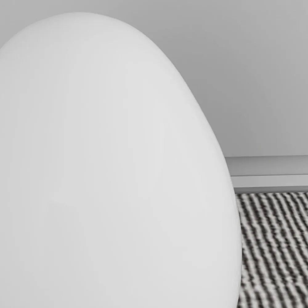 Avaella Minimalist Sculptural Egg LED Floor Lamp