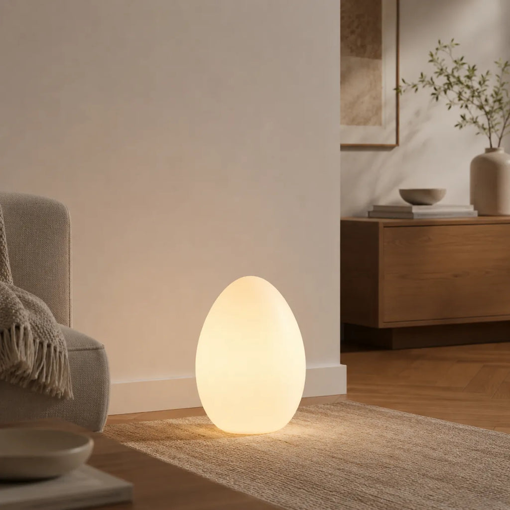 Avaella Minimalist Sculptural Egg LED Floor Lamp