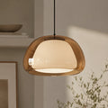 Warren Modern Glass Dome Adjustable Pendant Light
