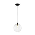 Tirza Modern Clear Glass Globe Pendant Light