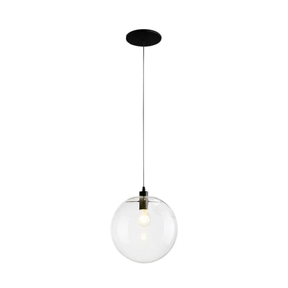 Tirza Modern Clear Glass Globe Pendant Light