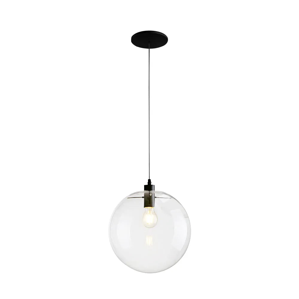 Tirza Modern Clear Glass Globe Pendant Light