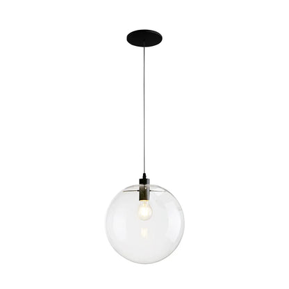 Tirza Modern Clear Glass Globe Pendant Light