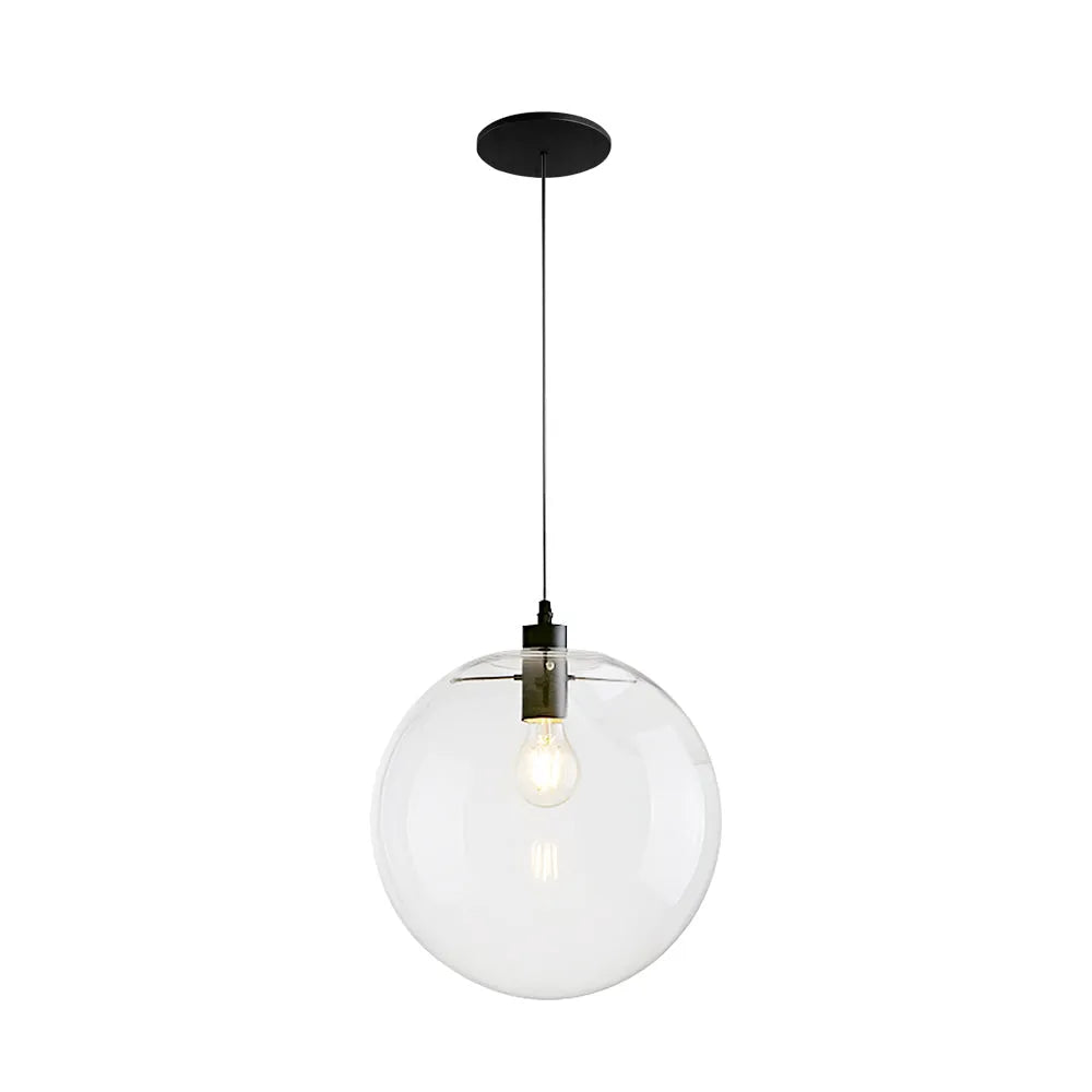 Tirza Modern Clear Glass Globe Pendant Light