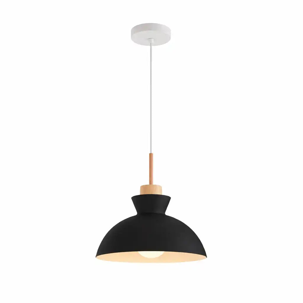 Kestrel Modern Metal Dome Pendant Light