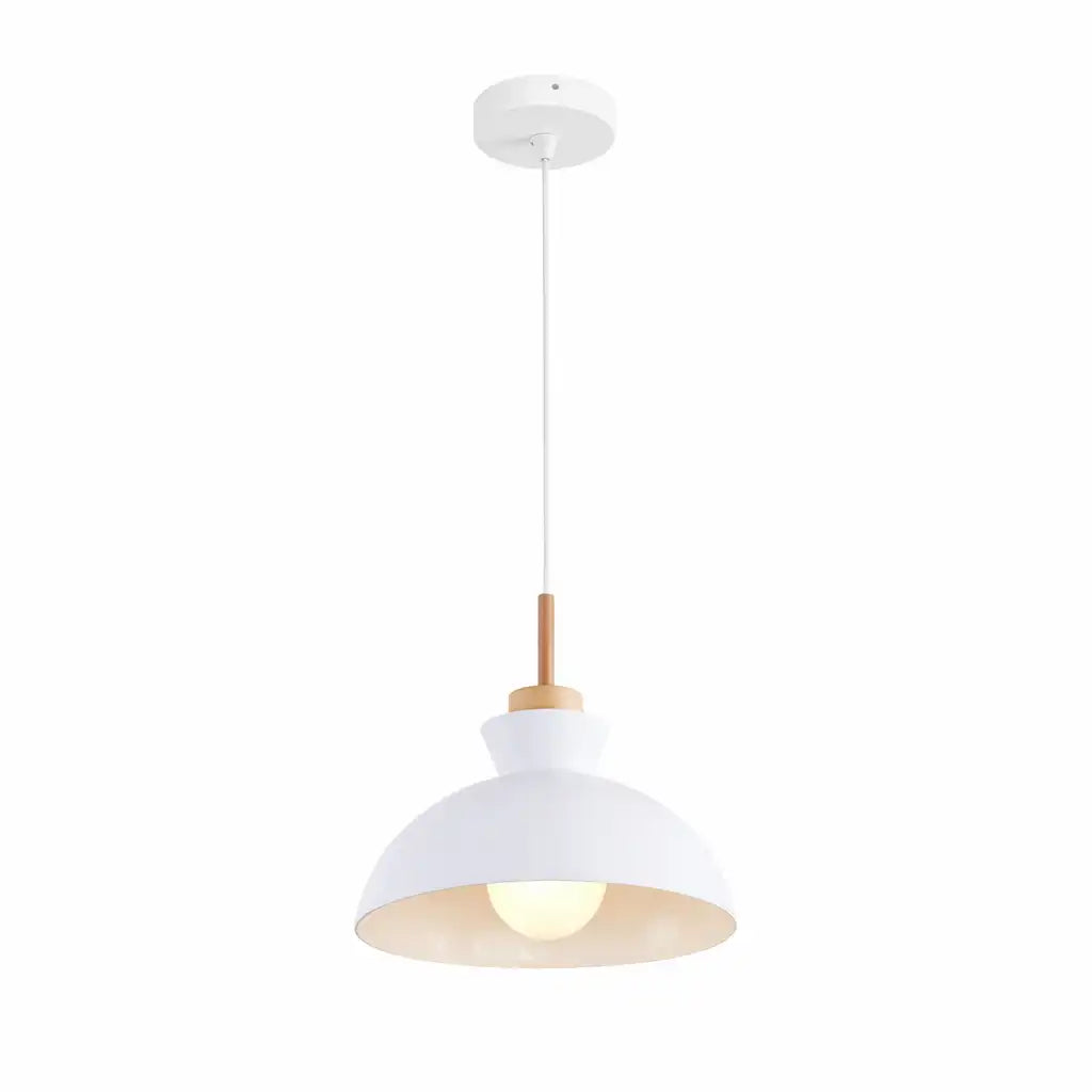 Kestrel Modern Metal Dome Pendant Light