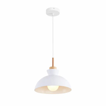 Modern Dome Pendant Light for Kitchen