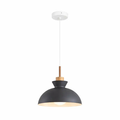 Modern Dome Pendant Light for Kitchen
