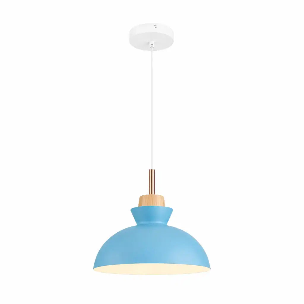 Kestrel Modern Metal Dome Pendant Light