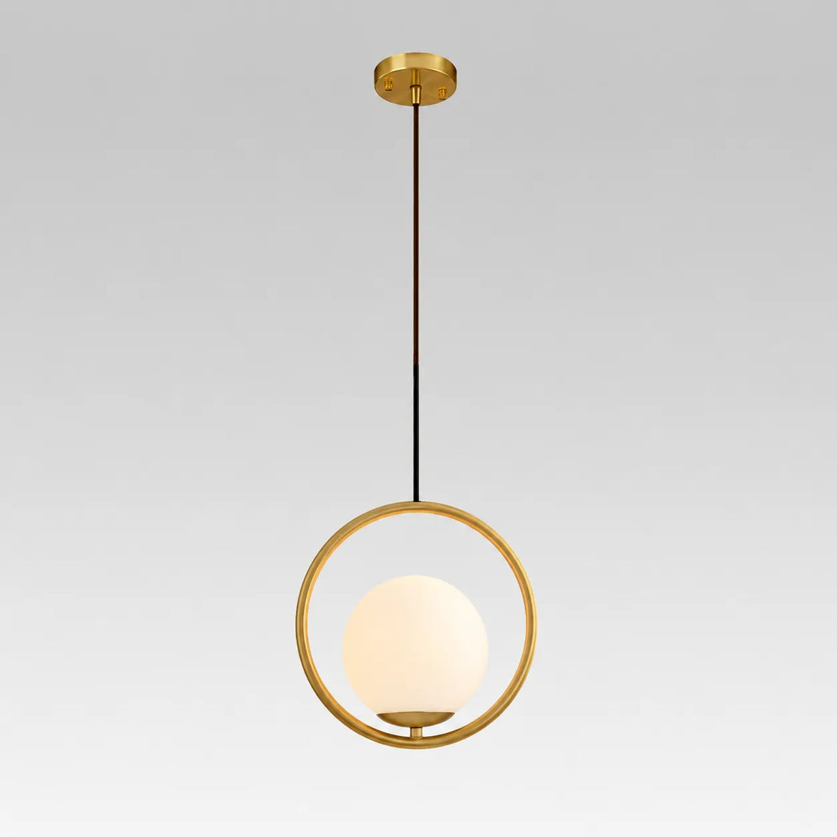 Mabel Contemporary Framed Glass Globe Pendant Light